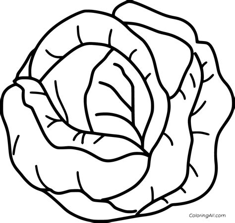 Cabbage Coloring Pages (6 Free Printables) - ColoringAll