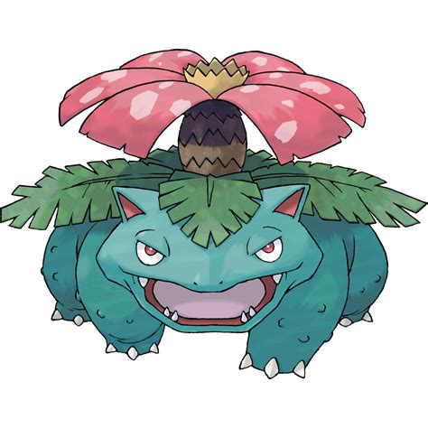 Venusaur Mega Evolution Card