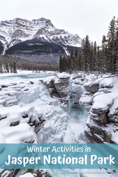 Experience the Magic of Winter in Jasper National Park