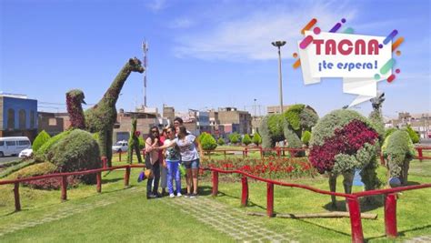 Consejos y recomendaciones para visitar la Ciudad de Tacna