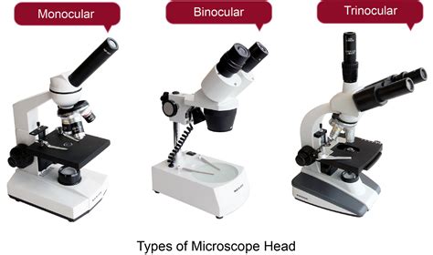 Tipos De Microscopios Optic Concept Map Voorbeeld Images | Porn Sex Picture