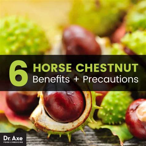 Horse Chestnut Supplement Uses & Health Benefits - Dr. Axe