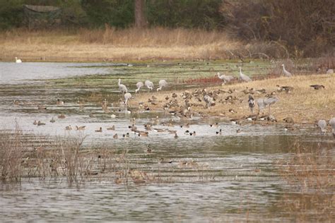 Jasper, AL: Gateway to Walker County Lake | Alabama Travel