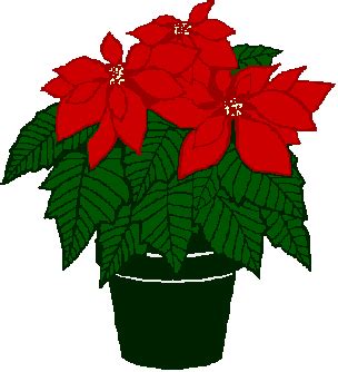 Free Clip Art Poinsettia - Cliparts.co