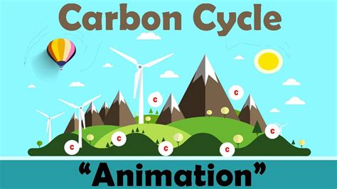 CARBON CYCLE | Biology Animation - YouTube