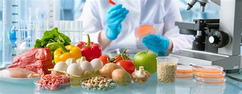 Emerging Biotechnology Trends in the Food Industry | UW Online Collaboratives