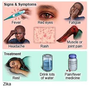 Zika Virus in Children - What You Need to Know