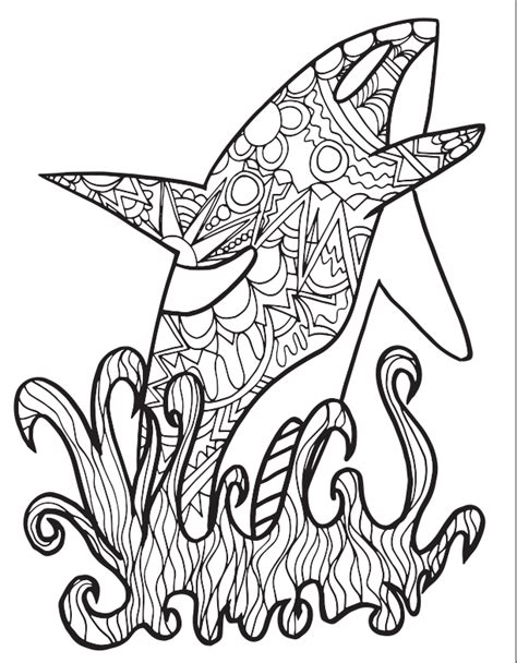 Free Orca Coloring Pages — Stevie Doodles