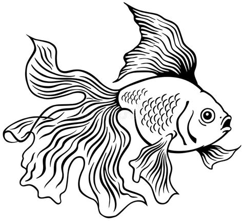 Goldfish black white stock vector. Illustration of shui - 40993466