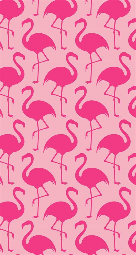 Flamingo Pink Wallpapers - Wallpaper Cave