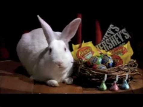 CADBURY EASTER EGG COMMERCIAL - YouTube