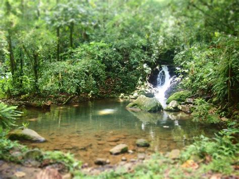 Shrimps waterfalls, Guadeloupe