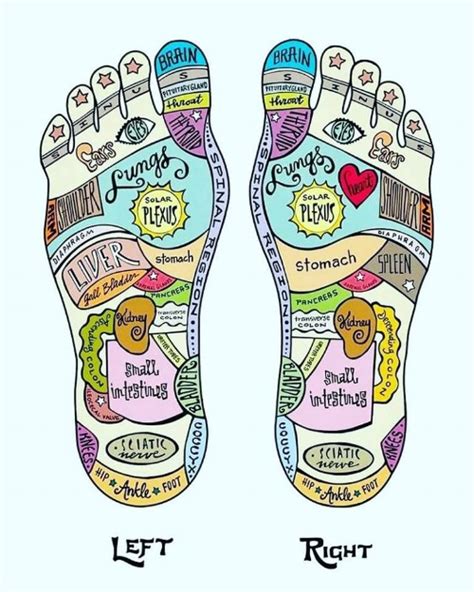 Reflexology: Tapping into the Power of the Feet — Therapeutic Bodywork