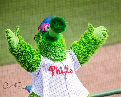 Phillie Phanatic may return to old design following settlement, per report | LaptrinhX / News