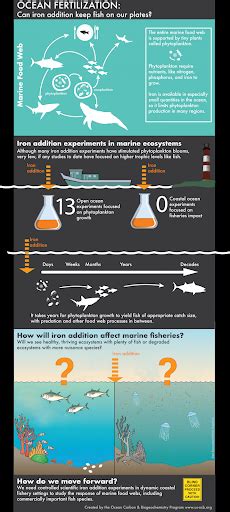 Potential Solutions - Exploring Ocean Iron Solutions