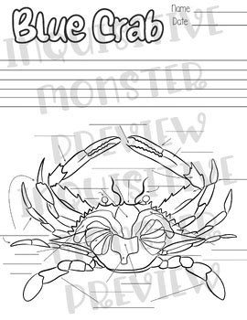 Blue Crab Anatomy by Inquisitive Monster | TPT