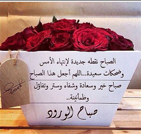 صباح الورد Good Morning Arabic, Jala, Good Evening, Morning Greeting, New Day, Funny Quotes ...