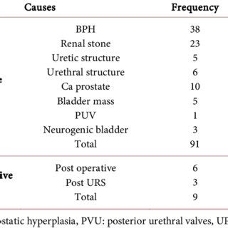 Distribution of urosepsis causes among study subject. | Download ...