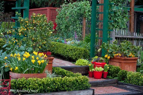 9 Citrus landscape ideas | outdoor gardens, citrus trees, garden