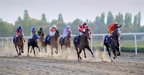 Ruidoso Downs moves racing amid flood and fire damage | AGDAILY