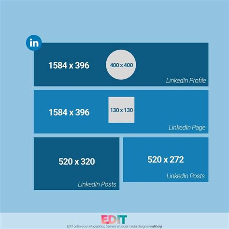 Linkedin Cover Photo Dimensions 2025 - Bird Marlee