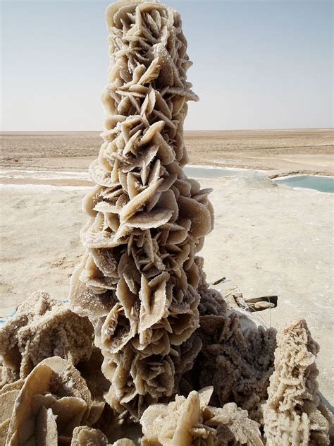 Desert flower - Desert rose (crystal) - Wikipedia, the free encyclopedia | Natural phenomena ...