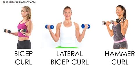 Bicep Curl Variations And Types (Dumbbells And More) | atelier-yuwa.ciao.jp