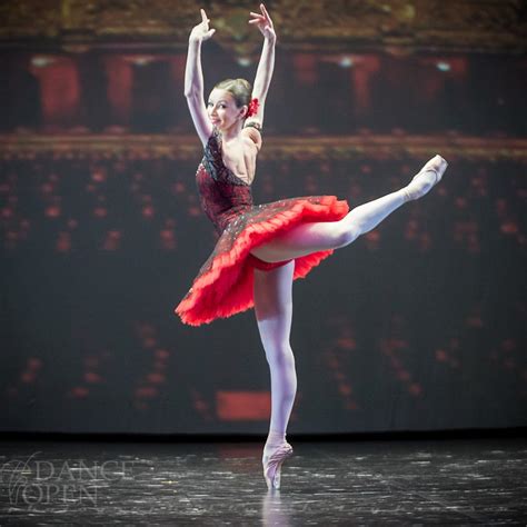 Don Quixote | Ballet: The Best Photographs