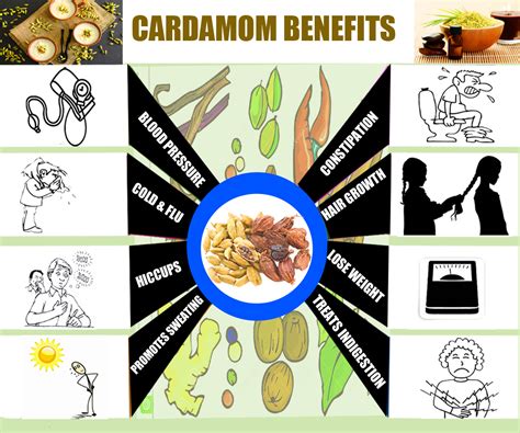 The Ultimate Guide Revealing Cardamom | Veggies Info