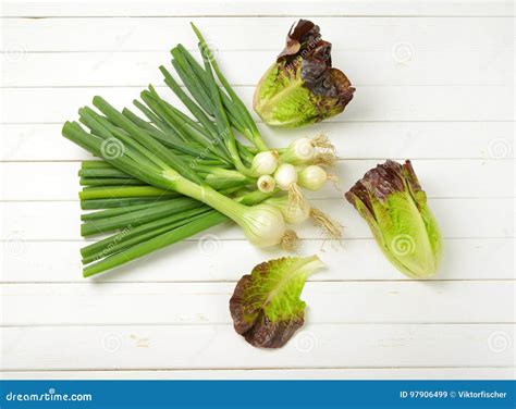 Spring onions and lettuce stock image. Image of homegrown - 97906499