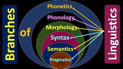 Branches of Linguistics; Phonetics; Phonology; Morphology; Syntax ...