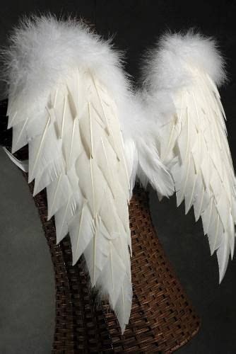 comprar alas - Buscar con Google | Angel wings costume, Feather angel ...