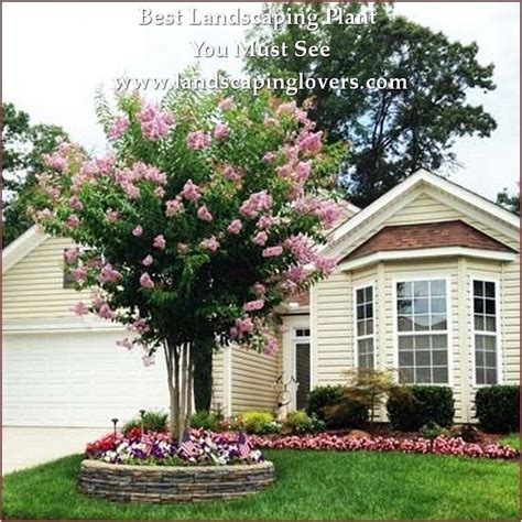 Using The Right Plants In Your Landscaping - Landscaping Lovers | Trees for front yard, Front ...