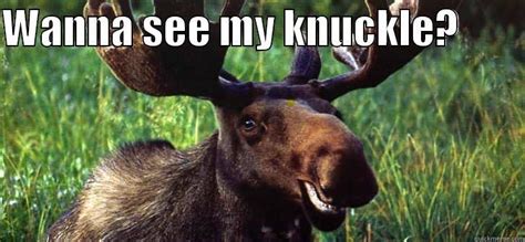 Moose knuckle - quickmeme