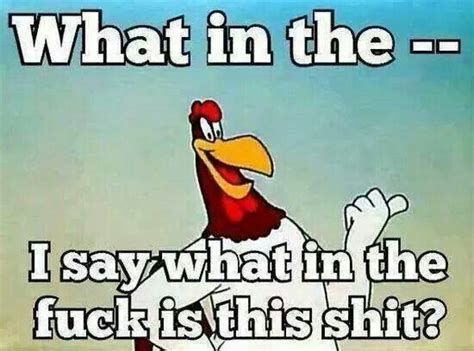 Foghorn Leghorn | Funny quotes, Cartoon quotes, Sayings