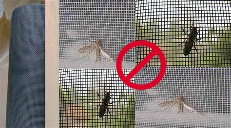 Insect Screen Singapore | Removable Magnetic Mesh | Mosquito Net