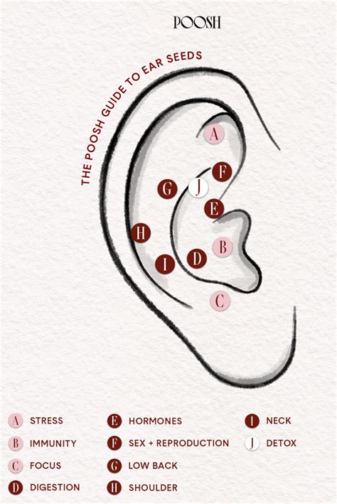 The Poosh Guide to Ear Seeds - Poosh