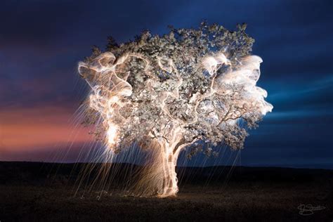 Photographer Uses Fireworks and Long Exposures to Make Trees Drip Light