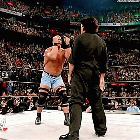 Stone Cold Steve Austin Stone Cold Stunner GIF - StoneColdSteveAustin ...