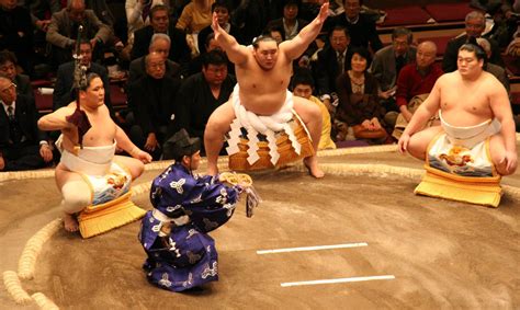 cosas que quizás no sabías sobre la lucha de sumo