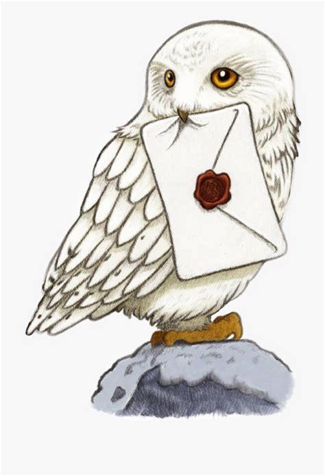 Sticker Hogwarts Harrypotter Freetoedit - Harry Potter Hedwig Drawing , Free Transparent Clipart ...