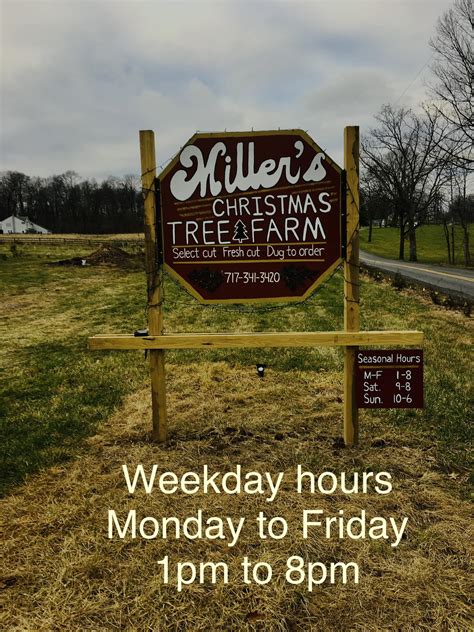 Miller's Christmas Tree Farm - Home