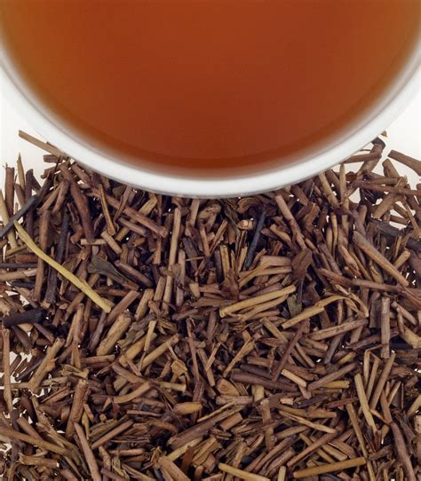 Hojicha Tea - Japanese Green Tea | Harney.com | Harney & Sons Fine Teas