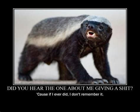 image #don'tcare | Honey Badger | Honey badger humor, Honey badger, Honey badger meme