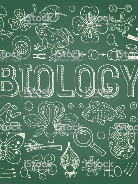 Aesthetic Biology Wallpapers - Top Free Aesthetic Biology Backgrounds - WallpaperAccess