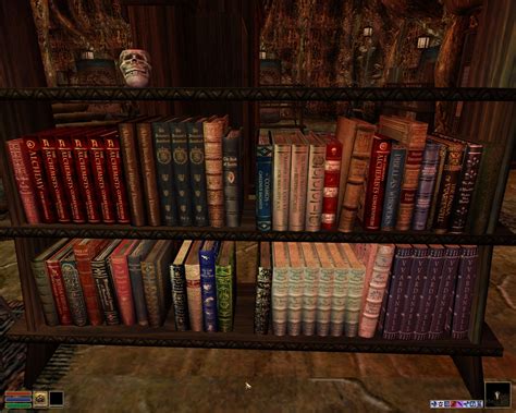 I knew Morrowind lore was detailed... but role-playing as a scholar & ACTUALLY READING ...