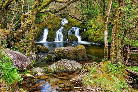 Glengarriff Nature Reserve - Ireland Highlights