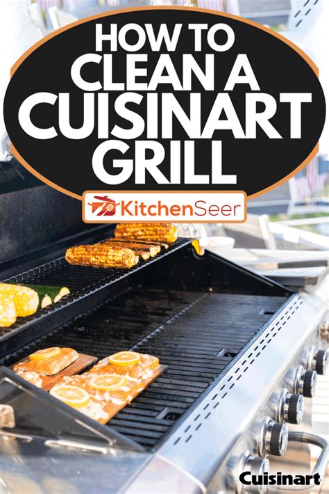 How To Clean A Cuisinart Grill - Kitchen Seer