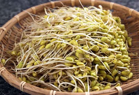 Soybean sprouts (Kongnamul) recipe - Maangchi.com