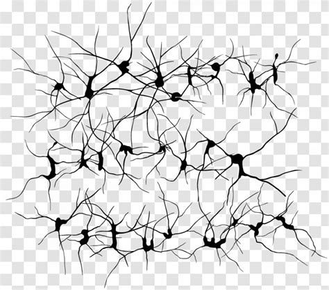 Neuron Clip Art - Black Transparent PNG